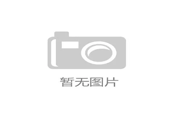 Staehr点评VP战队需激发FL1T与fame潜力以迎接更高挑战